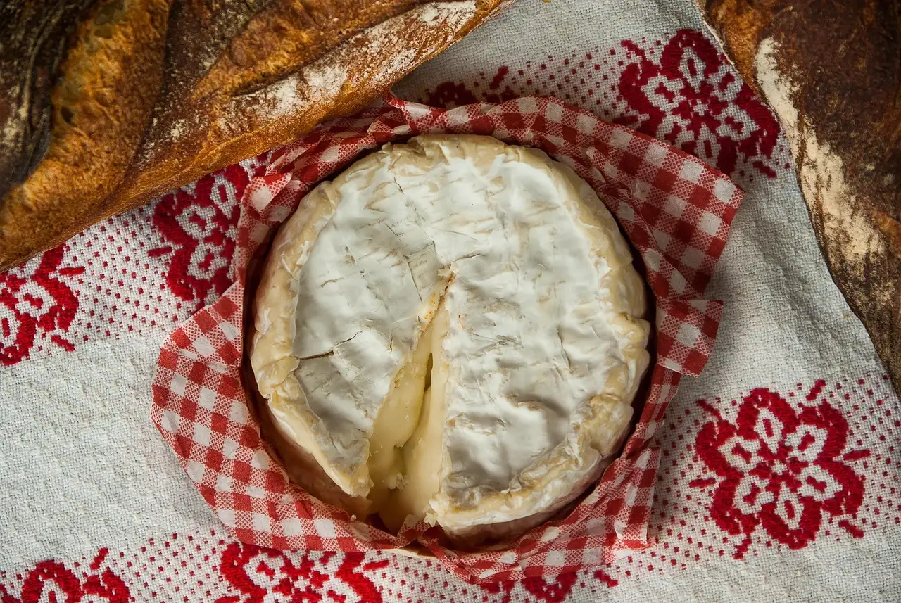 A whole Camembert cheese on a red checked cloth with bread
