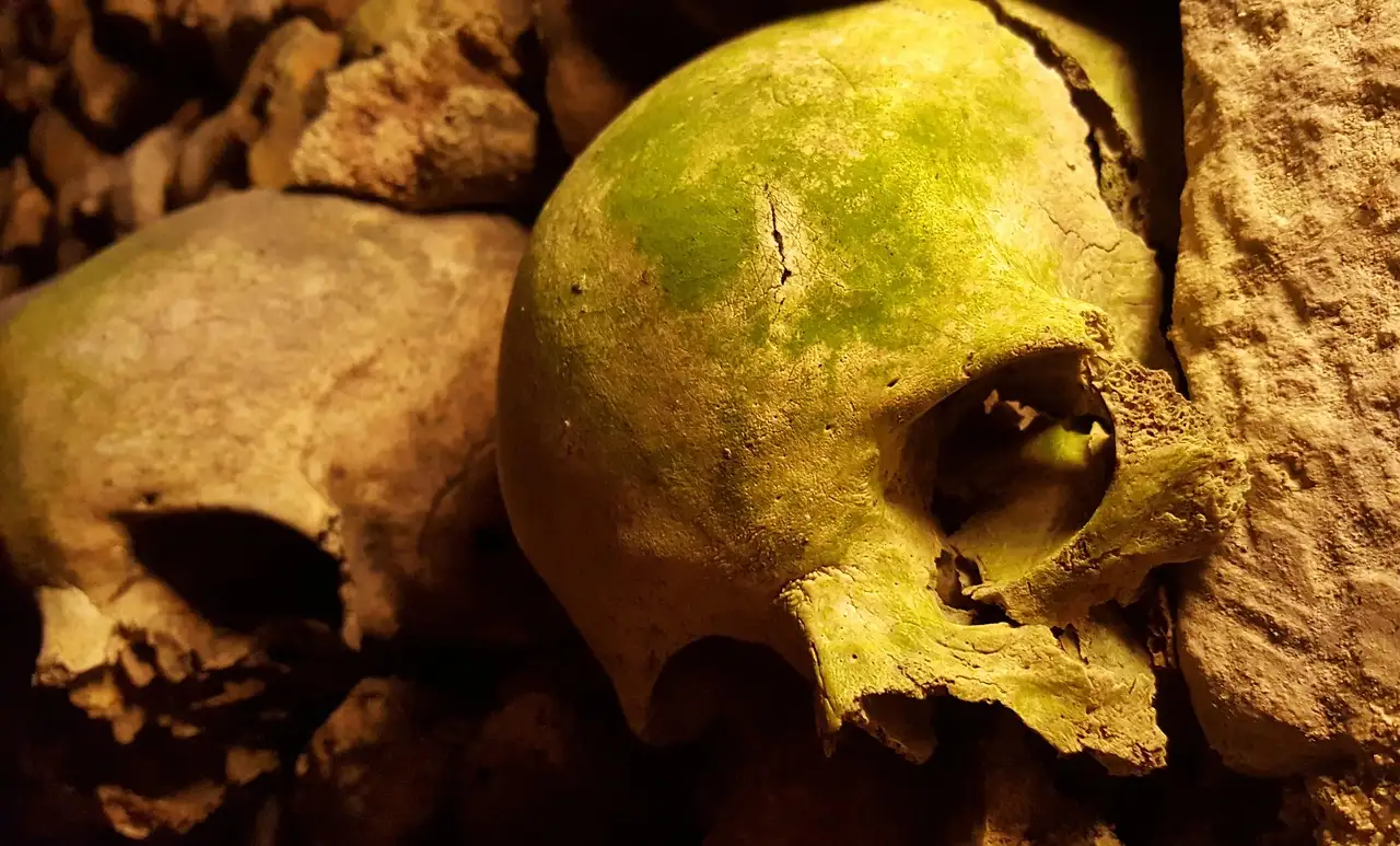 Close-up of old skulls set in a bone wall in the Paris Catacombs