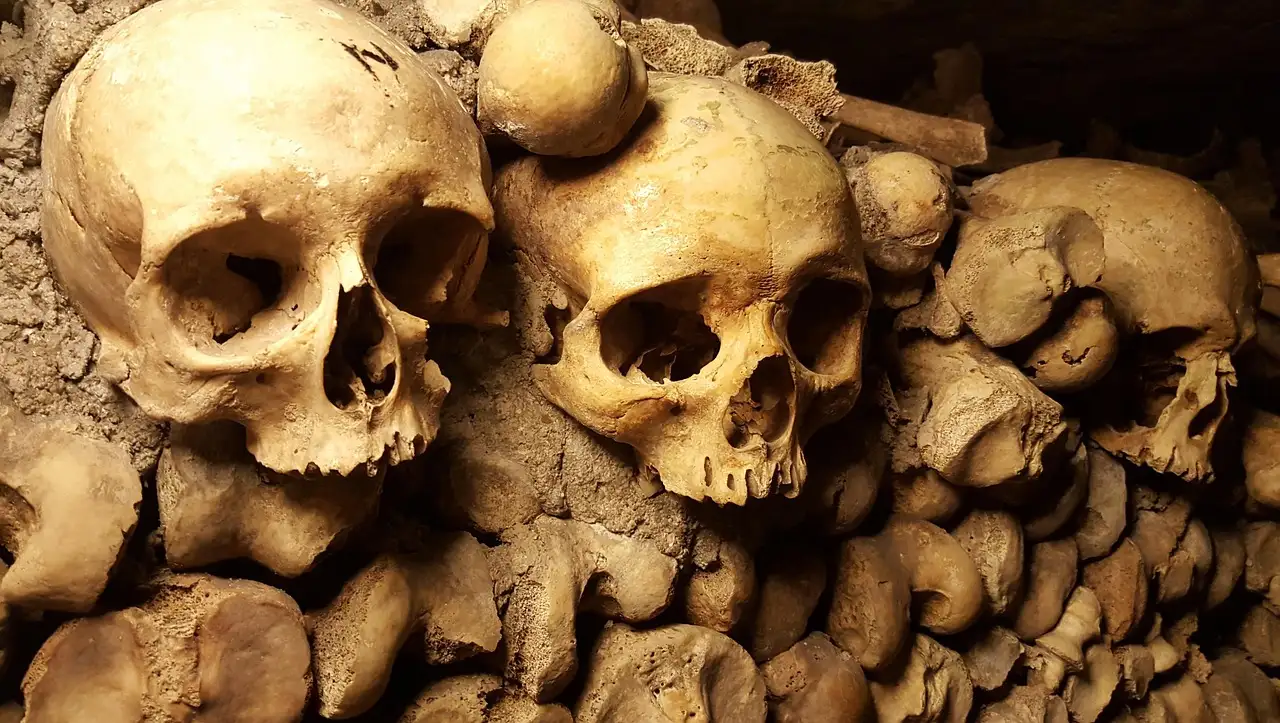 Skulls and bones stacked into a wall in the Paris Catacombs