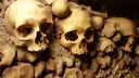 Skulls and bones stacked into a wall in the Paris Catacombs
