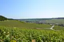 Champagne vines on a hillside above a village in the valley