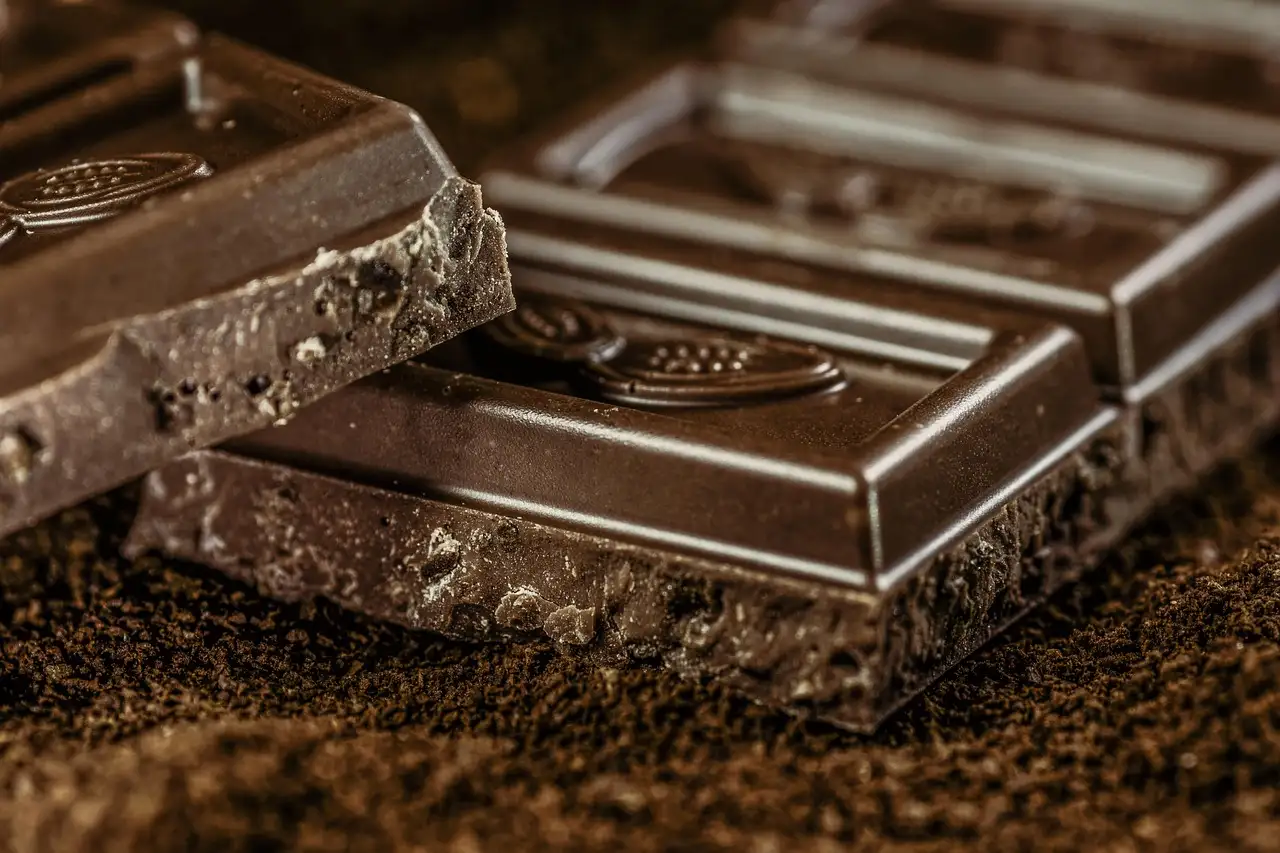Broken pieces of a dark chocolate bar