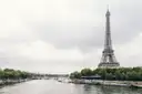 The Eiffel Tower rising above the trees along the Seine on a cloudy day
