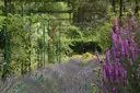 Lavender and purple flowers under green iron arches in Monet's garden at Giverny