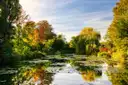 Monet's water lily pond at Giverny in autumn colours