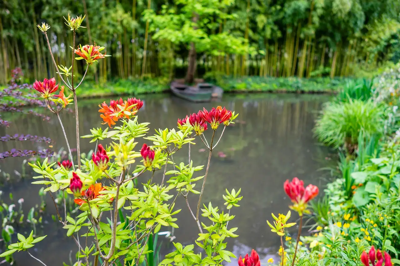 Red azaleas beside Monet's water lily pond at Giverny