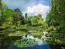 Monet's pond at Giverny reflecting clouds, with water lilies and willows