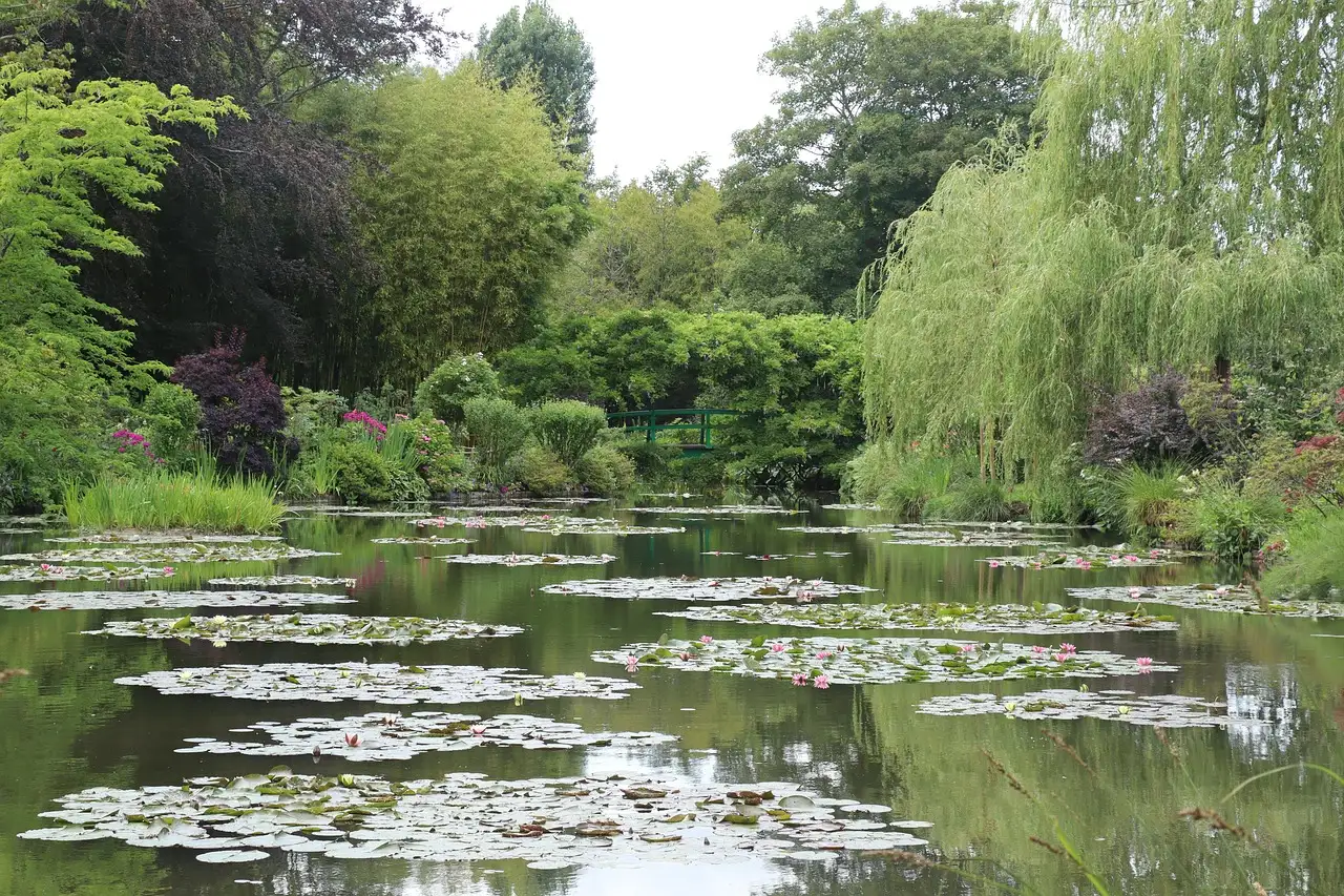 Monet's water-lily pond at Giverny, ringed by weeping willows