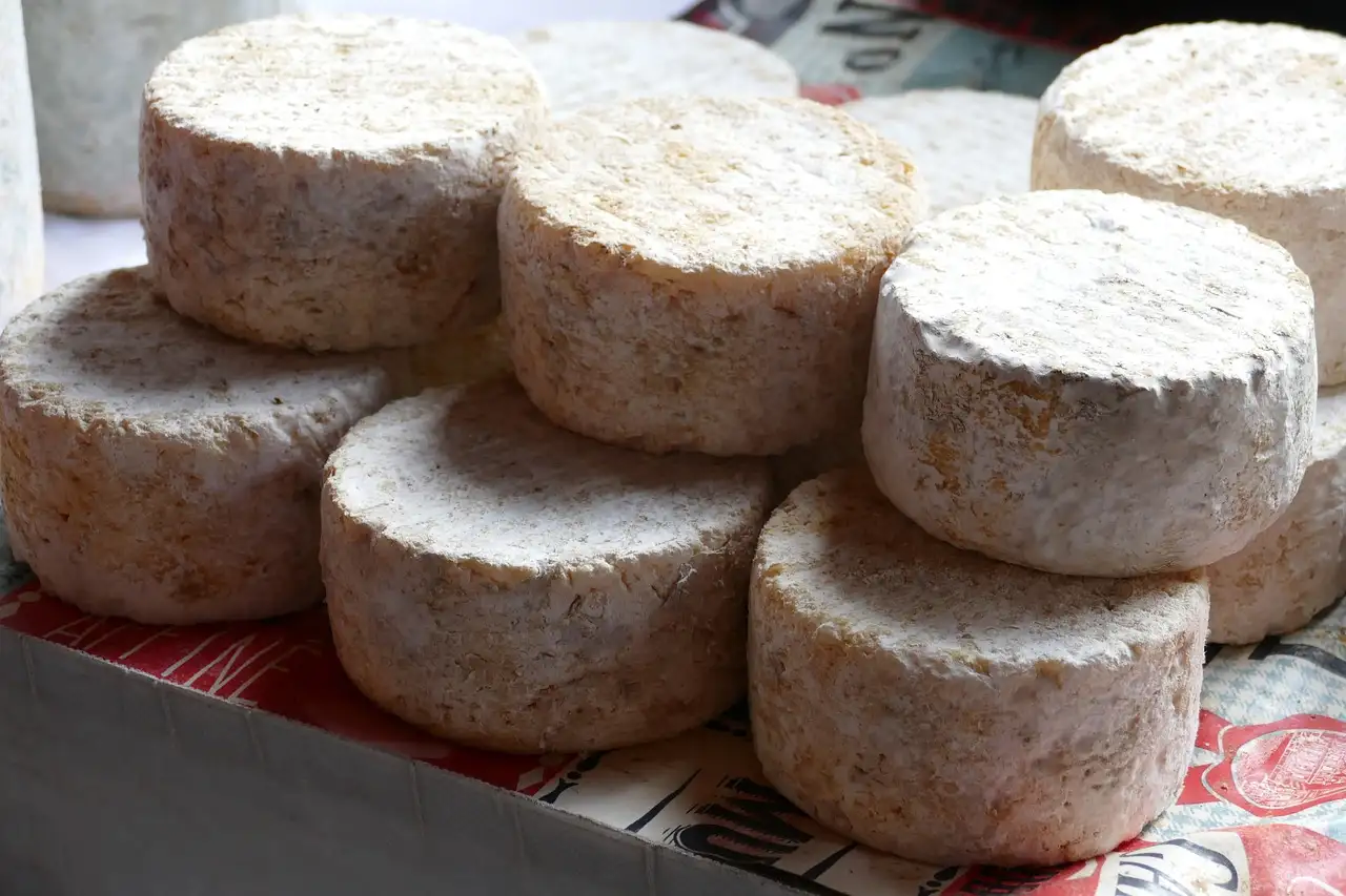 Small rounds of aged French cheese stacked together