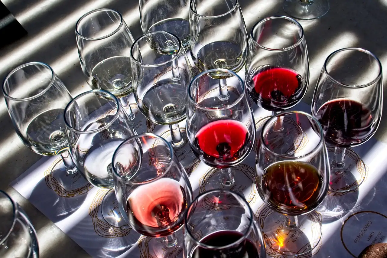 Rows of tasting glasses with red, white and rosé wine